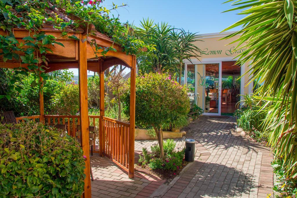 Milkwood Manor On Sea Bed & Breakfast Plettenberg Bay Bagian luar foto